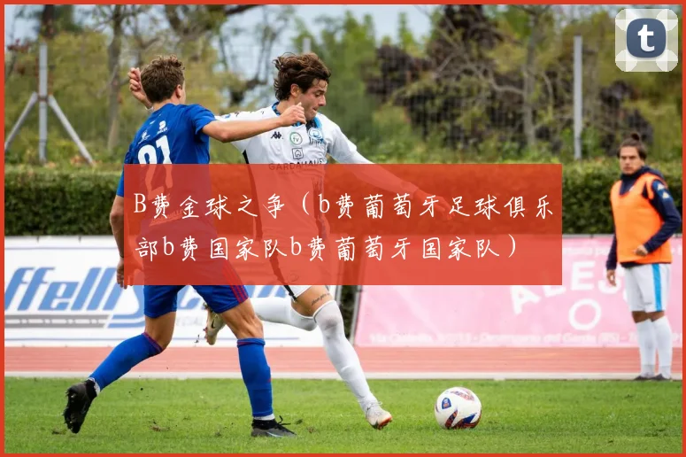 B费金球之争（b费葡萄牙足球俱乐部b费国家队b费葡萄牙国家队）