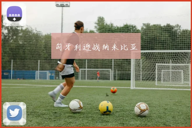 匈牙利迎战纳米比亚