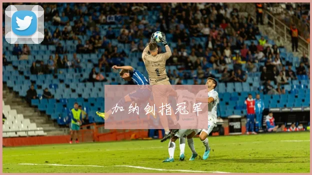 加纳剑指冠军